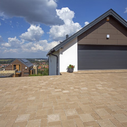 Leier solido Leier solido